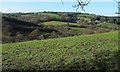 East Looe valley