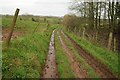 Footpath and track