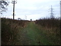 Farm track (bridleway), Thinfrod