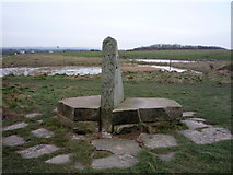 TA1281 : Stone marker for the Wolds Way Footpath  by JThomas