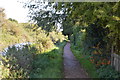 National Cycle Route 4 along the Kennet & Avon Canal