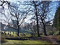 A frosty morning in Coed Melyn Park (3)