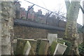 View of the backs of houses on Carol Street lining up with the fence in St. Martin