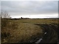 Kame and kettle terrain near Forfar