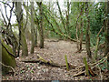 Footpath from Debden Road to Clays Lane