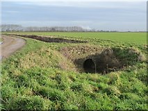 SE6123 : Access bridge across a drain, by Heck Ings Lane by Christine Johnstone