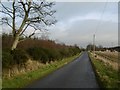 A road into Montreathmont Forest