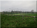 TQ1769 : New cricket nets by Hugh Venables