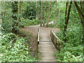 Woodland footbridge