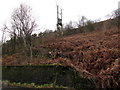 SO1501 : Hillside electricity substation above the A469 in Brithdir by Jaggery
