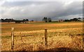 Stubble field at Maryton, Kirriemuir