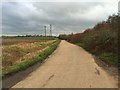 SK5731 : Road beside Rushcliffe Country Park by David Lally