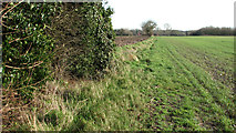 TM2998 : Footpath along a field boundary by Evelyn Simak