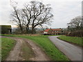 Painsthorpe  Lane  approaching  Painsthorpe