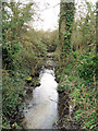 Looking upstream from the Bridge in the Millhoppers Reserve