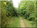 Path, Kennington Park