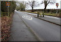 50 on the main road through Caerwent