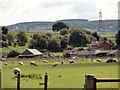 Armondside farm from the west