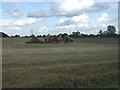 Farmland, Mendlesham Green