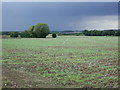 Farmland, Middlewood Green