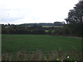 Crop field near Vale Farm