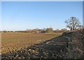 Ploughland near Oakington