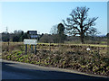 Road signs and a tree, Liphook