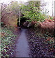 Path towards Ystrad Mynach railway station platform 2