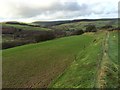 Hillside above Meity Fawr