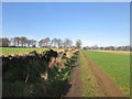 Track off Field Lane at Lower High Fields