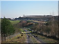 Footpath by Newlands