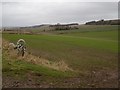 Gatepost, Howmuir