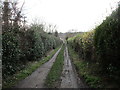 Track between the allotments