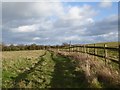 SJ7158 : Footpath across field edge near Crewe by Jonathan Hutchins