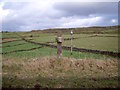 SK2355 : Old milepost and sheep pastures by Ian Calderwood
