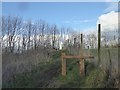 Muddy footpath east of Crewe