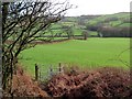 Llwybr y Wern  / Wern Path