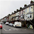 Wheelie bins and speed bumps, Brithdir