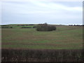 Farmland near Rising Sun Farm