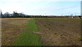 Footpath to Whitelands Lane