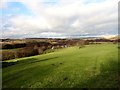 View north from the A68 near Castleside