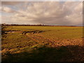 Fields between Ranskill and Blyth