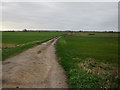 TL5488 : Footpath from A1101 by Hugh Venables