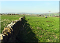 The view from the Ward Boundary stone