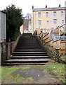 Wide steps between two terraces, Brithdir