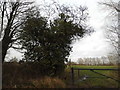 Path off Lonesome Lane, Doversgreen