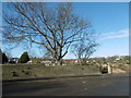 Looking across to the churchyard of St Paulinus, Crayford