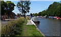 Narrowboats moored along the Trent & Mersey Canal