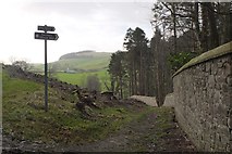 NT4835 : Path by the wall below Gala Hill by Jim Barton