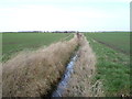 Drain off Hornsea Road